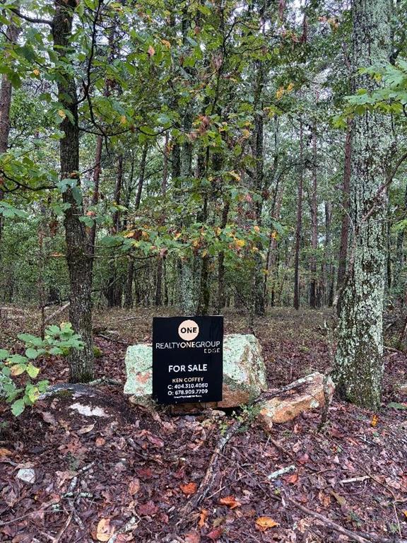 Quartz Ct., Jasper, GA 30143
