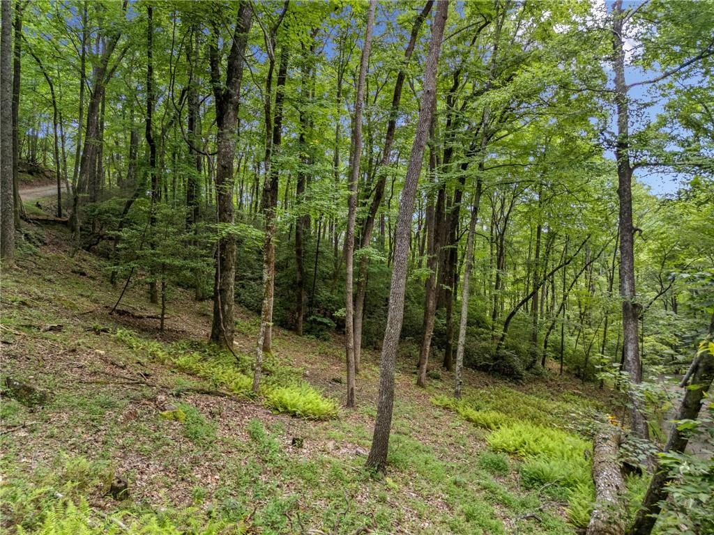 Paradise Ln., Blue Ridge, GA 30513