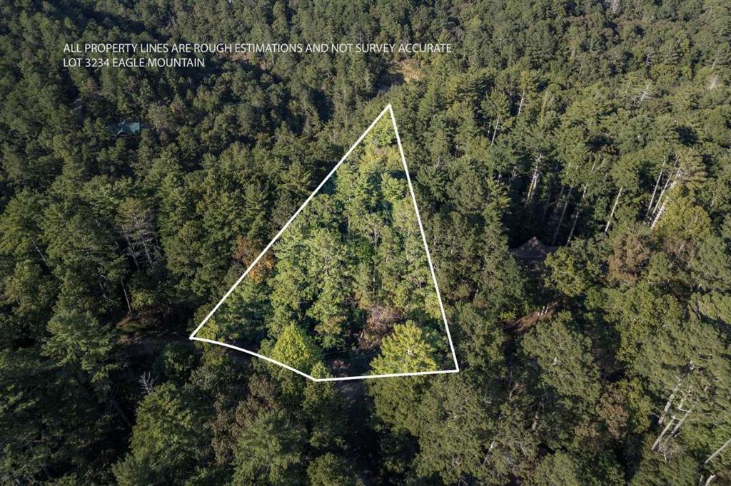 LT3234 Eagle Mountain, Ellijay, GA 30536
