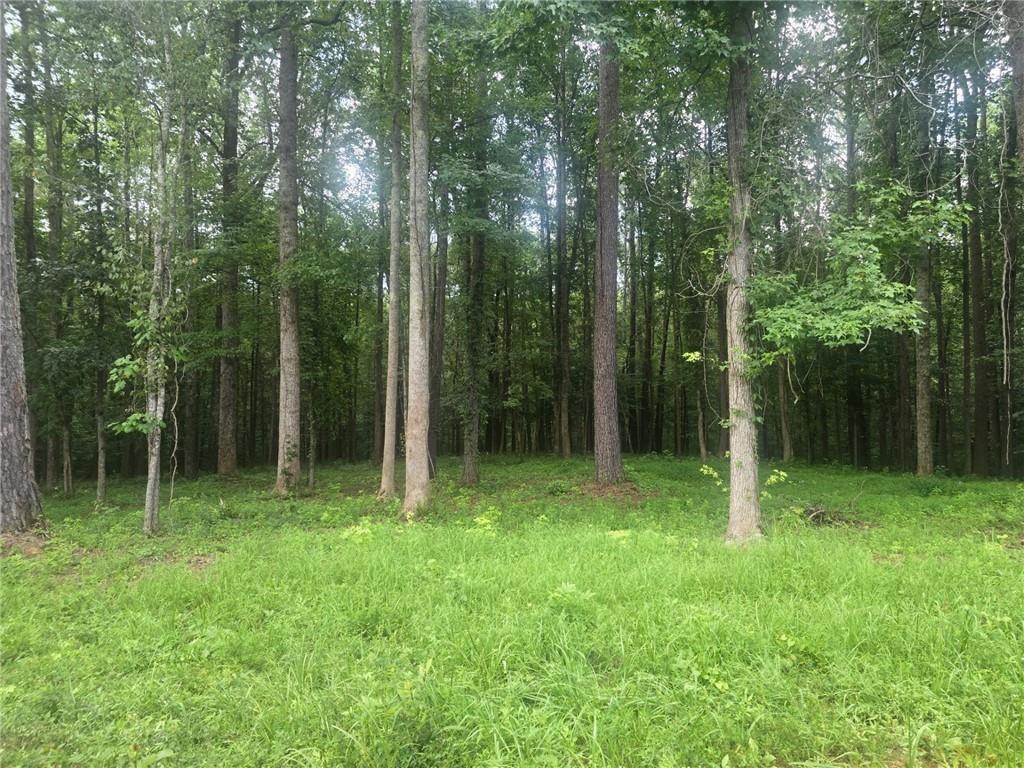 6155 Little Ridge Rd., Acworth, GA 30102