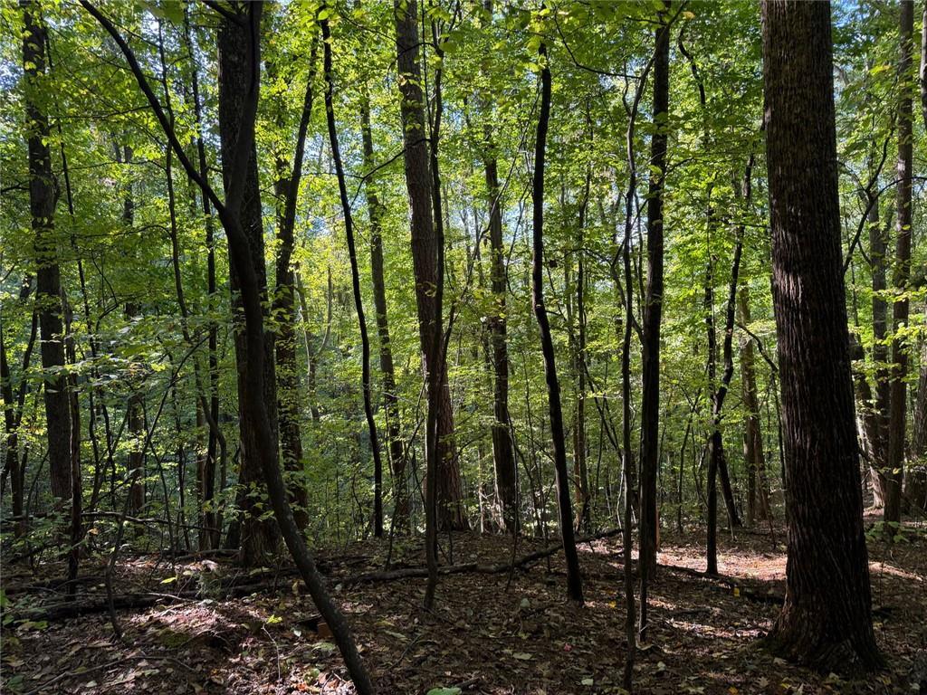 J349 Mountain View Ct., Ellijay, GA 30536
