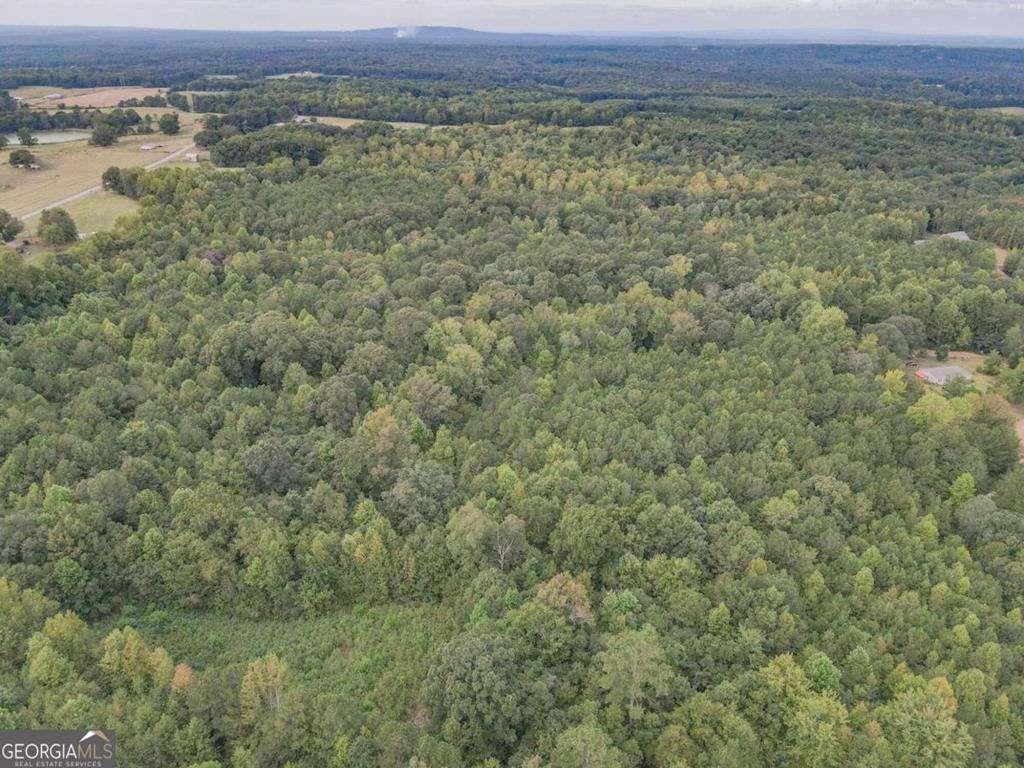 Roopville Veal Rd., Roopville, GA 30170
