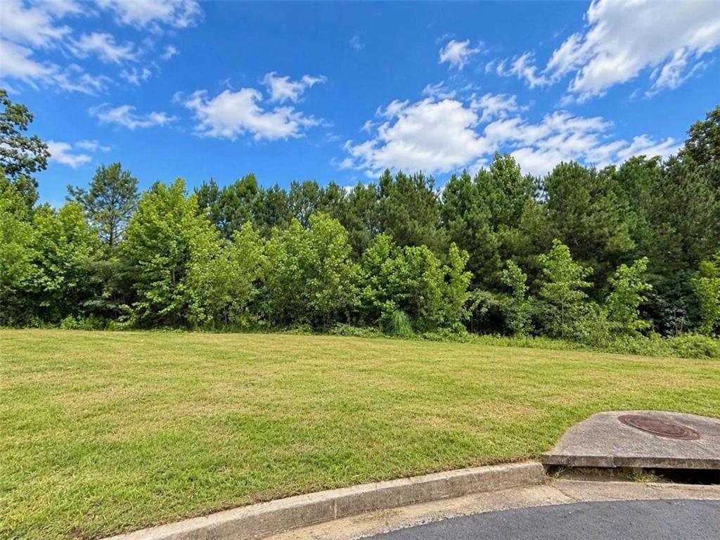 3082 Madison Run Cove, Snellville, GA 30039