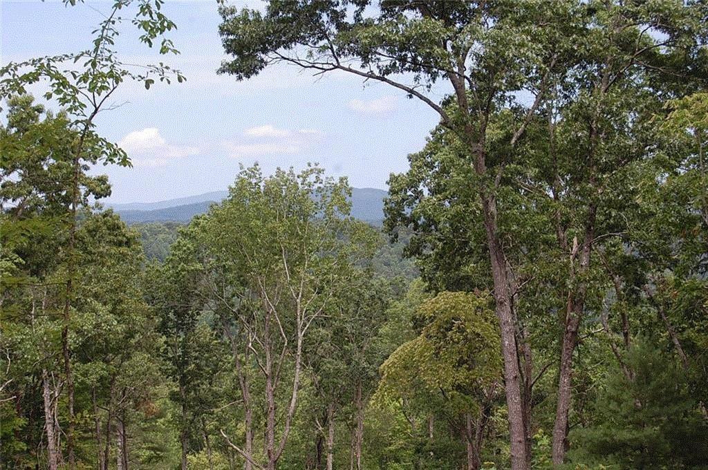 450 Back Pine Way, Ellijay, GA 30540