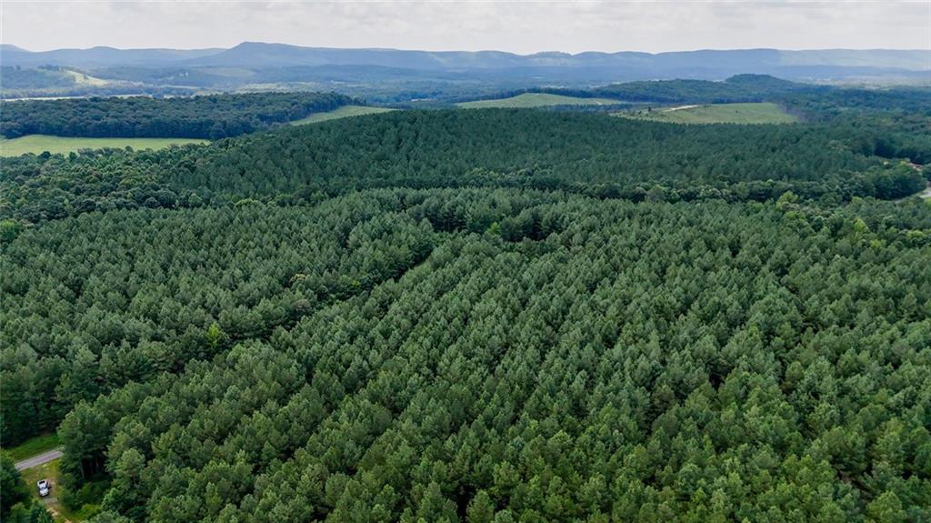 Tract 3 Back Valley Rd., Lyerly, GA 30730