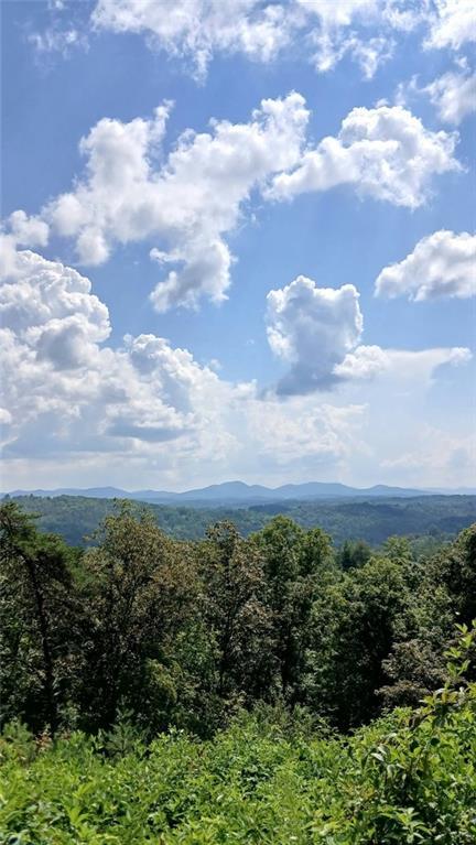 Lot 23 Mountain Laurel Ridge, Mineral Bluff, GA 30559