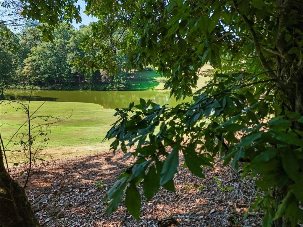 Lineberry Ln., Cumming, GA 30028