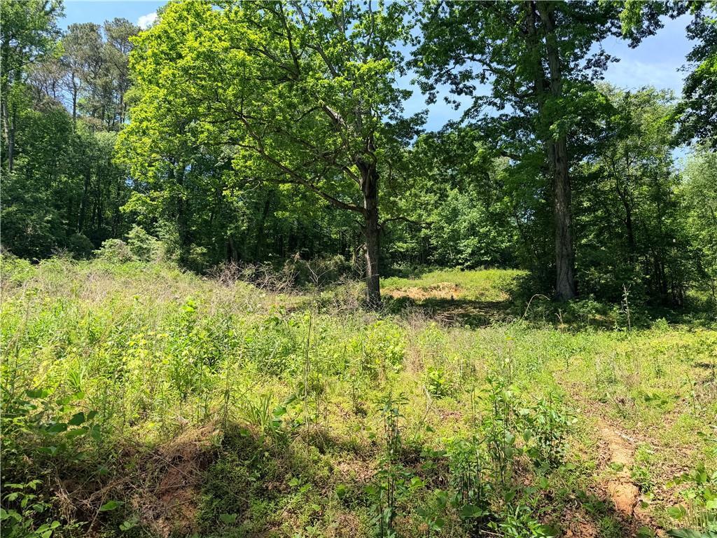 Old Hwy 5, Ellijay, GA 30540
