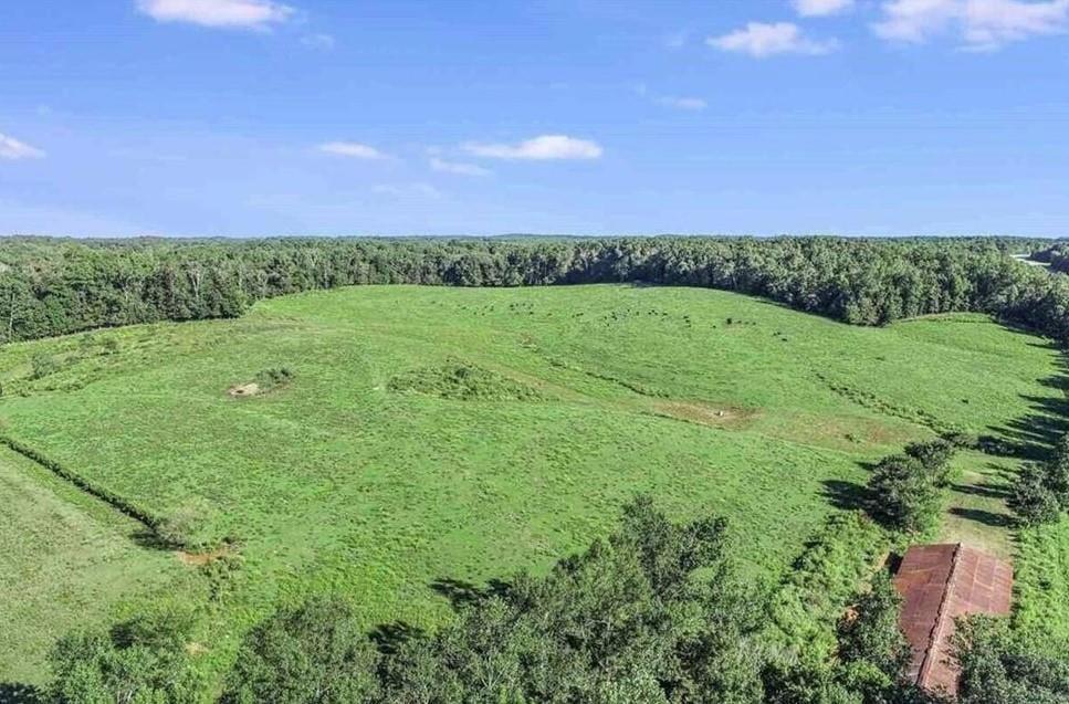1340 441 Express Way Way, Mount Airy, GA 30563