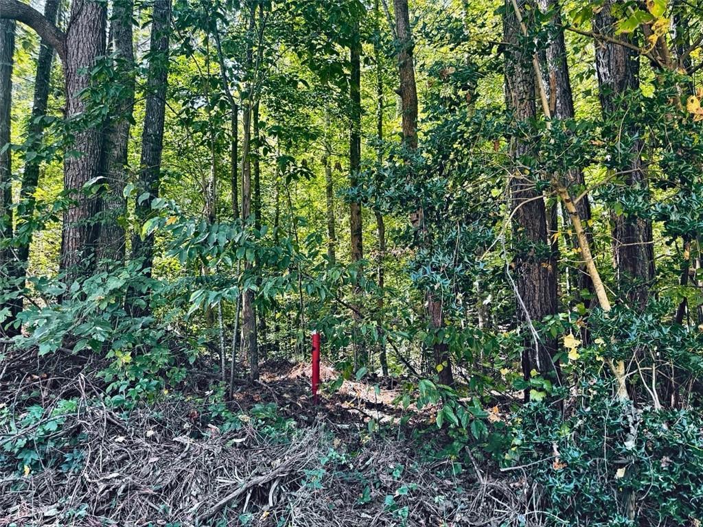3349 Confederate Point, Canton, GA 30115