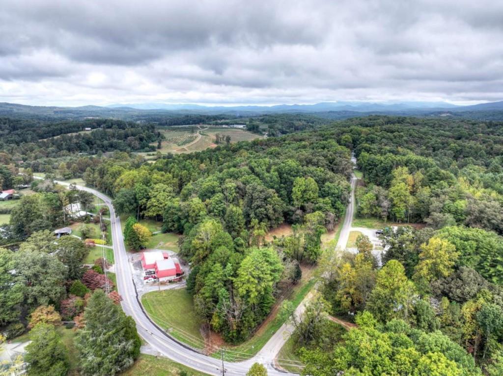 TR 2 Davis Rd., Blue Ridge, GA 30513