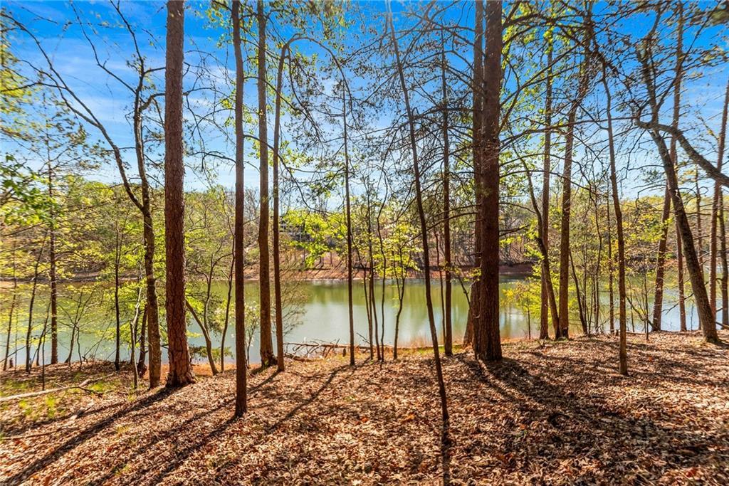 6221 Random Winds Bluff, Gainesville, GA 30506
