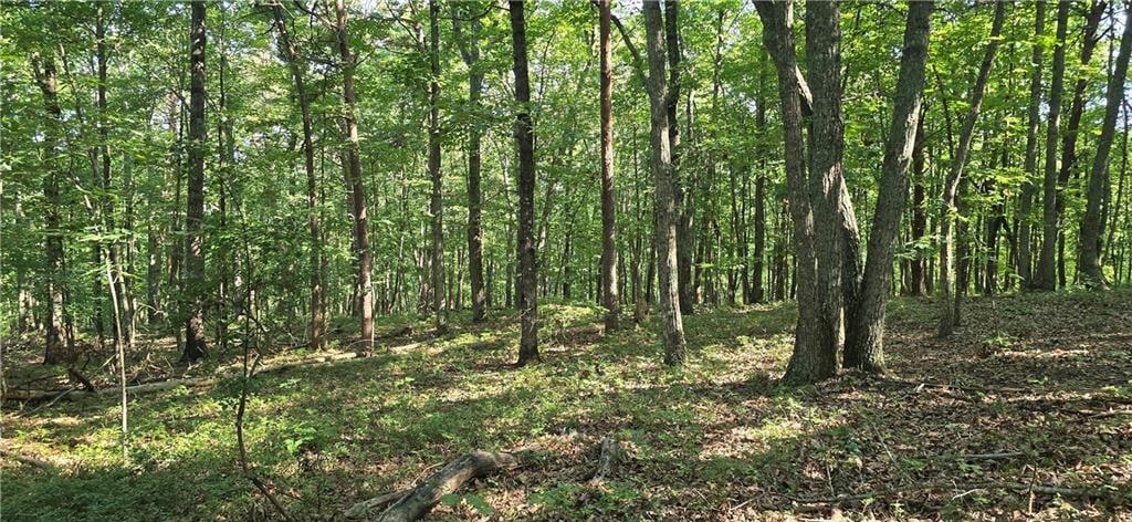 Firetower Road, Jasper, GA 30143