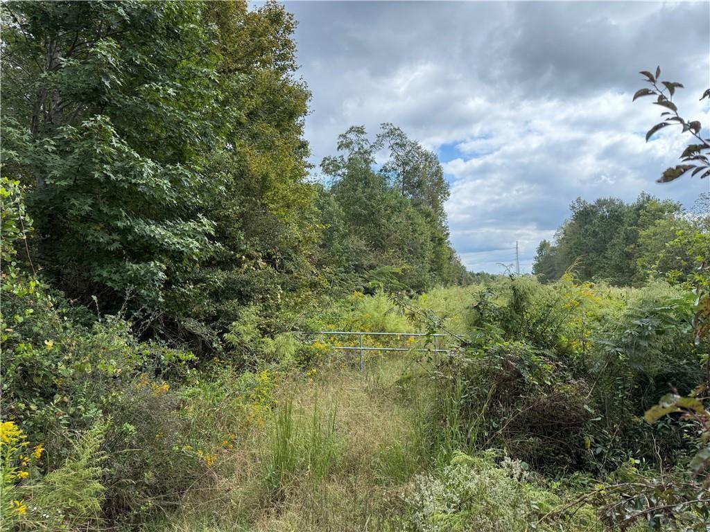 Magnolia Ave., Bowdon, GA 30108