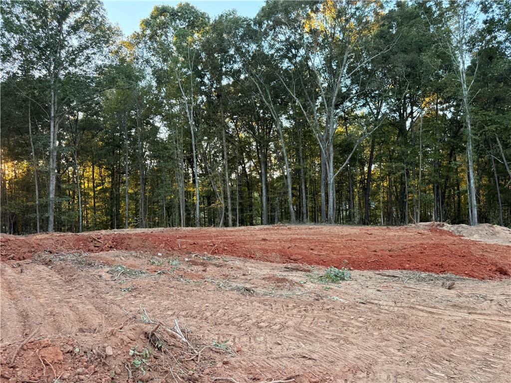 37 Springtime Way, Monroe, GA 30655