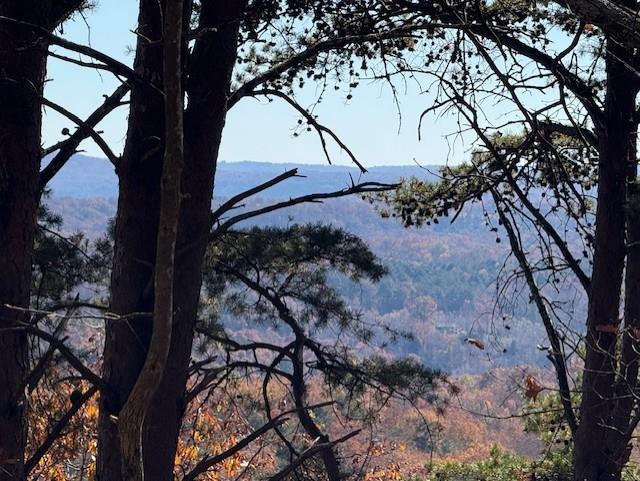 John Call Rd - 181.51ac, Talking Rock, GA 30175