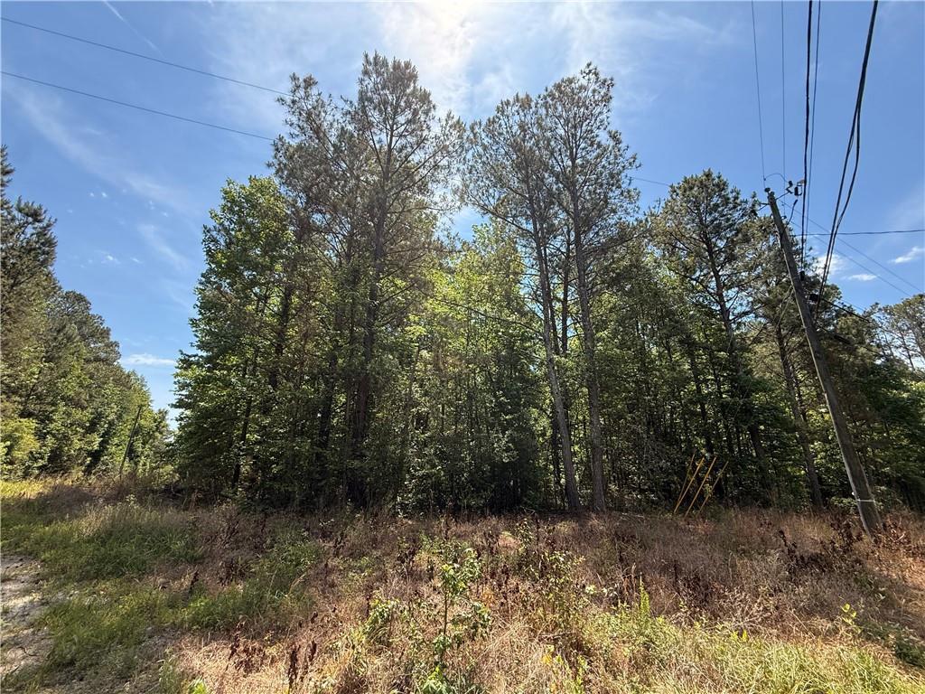 467 N Raburn Rd., Bremen, GA 30110