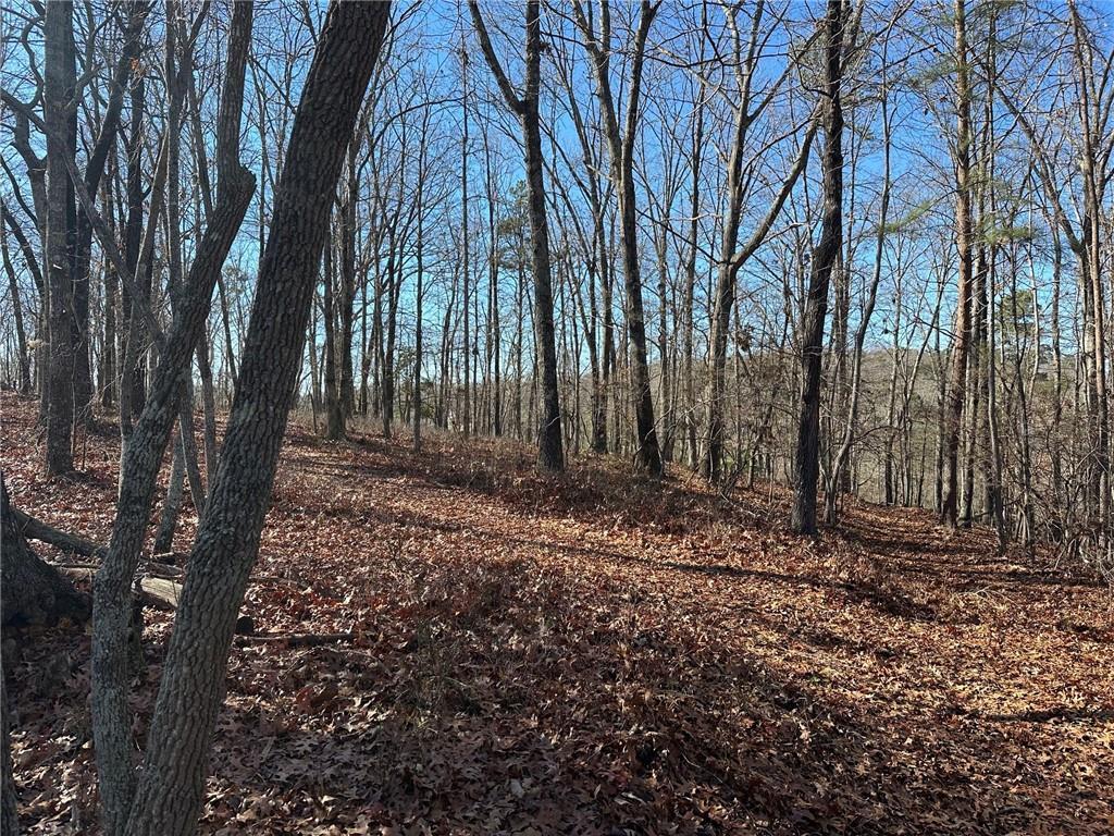 Charlie Lemley Rd., Dawsonville, GA 30534