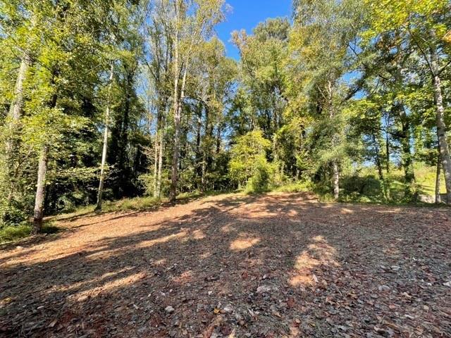 447 Martindale Ct., Stone Mountain, GA 30088