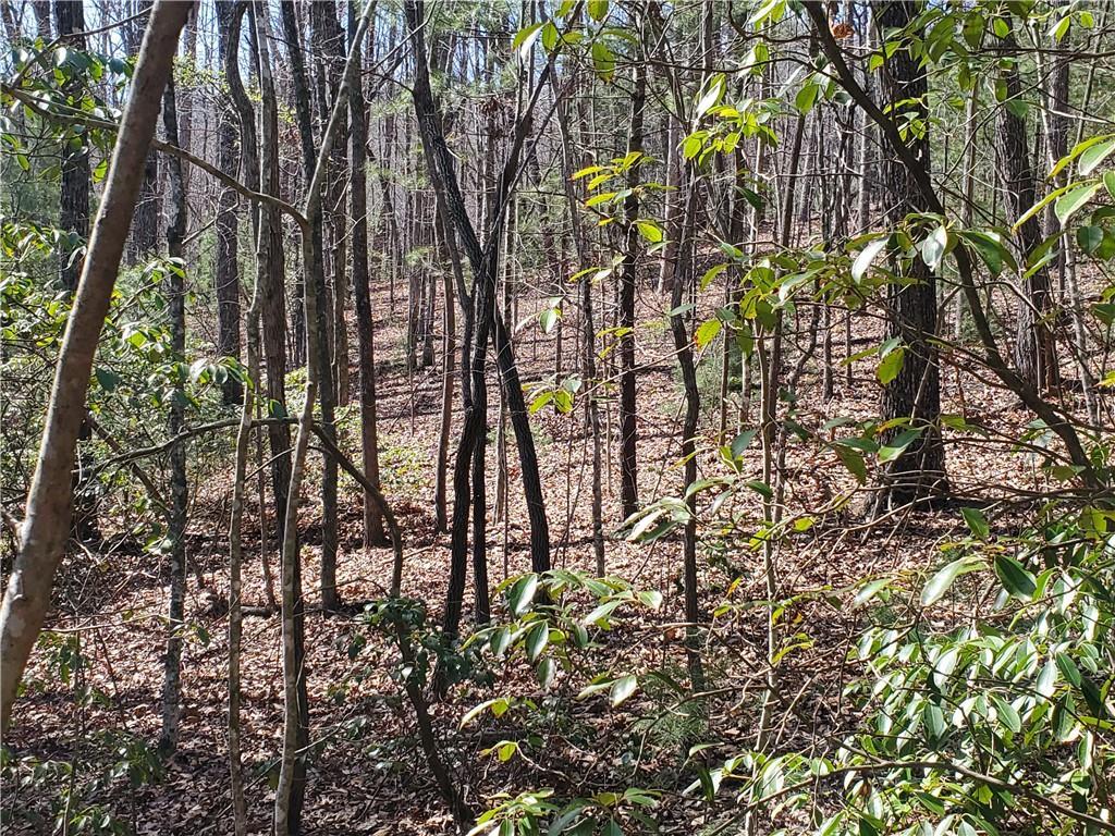 Lot 41 Trails End, Ellijay, GA 30540