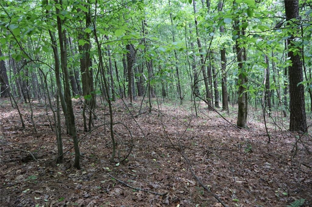 Parksbrook Road A, Ellijay, GA 30540