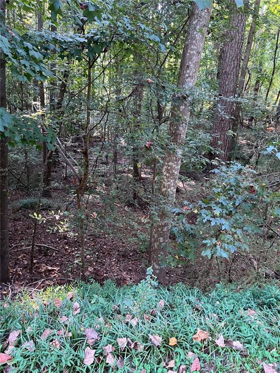 Oakleaf Dr., Stockbridge, GA 30281