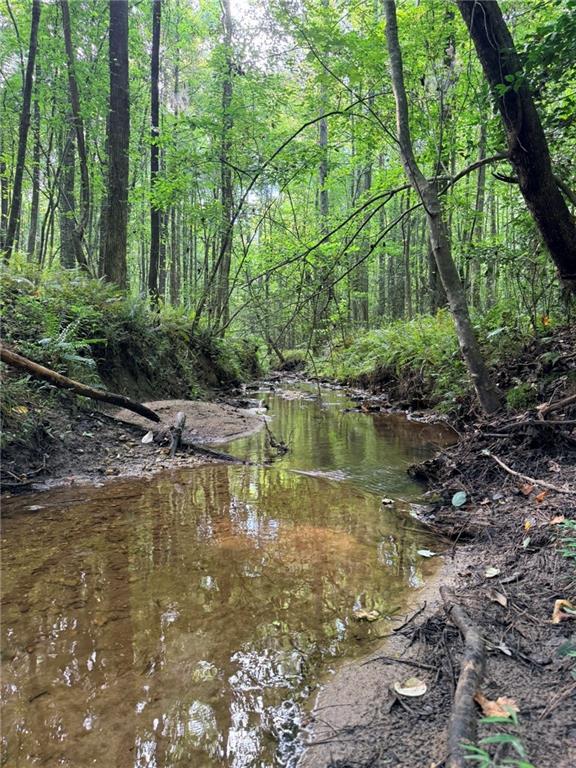 Lot 26 Skidder Way, Jasper, GA 30143
