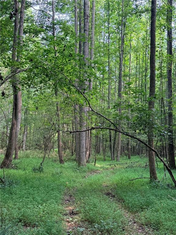 Lot 9 Henderson Mountain Road, Jasper, GA 30143