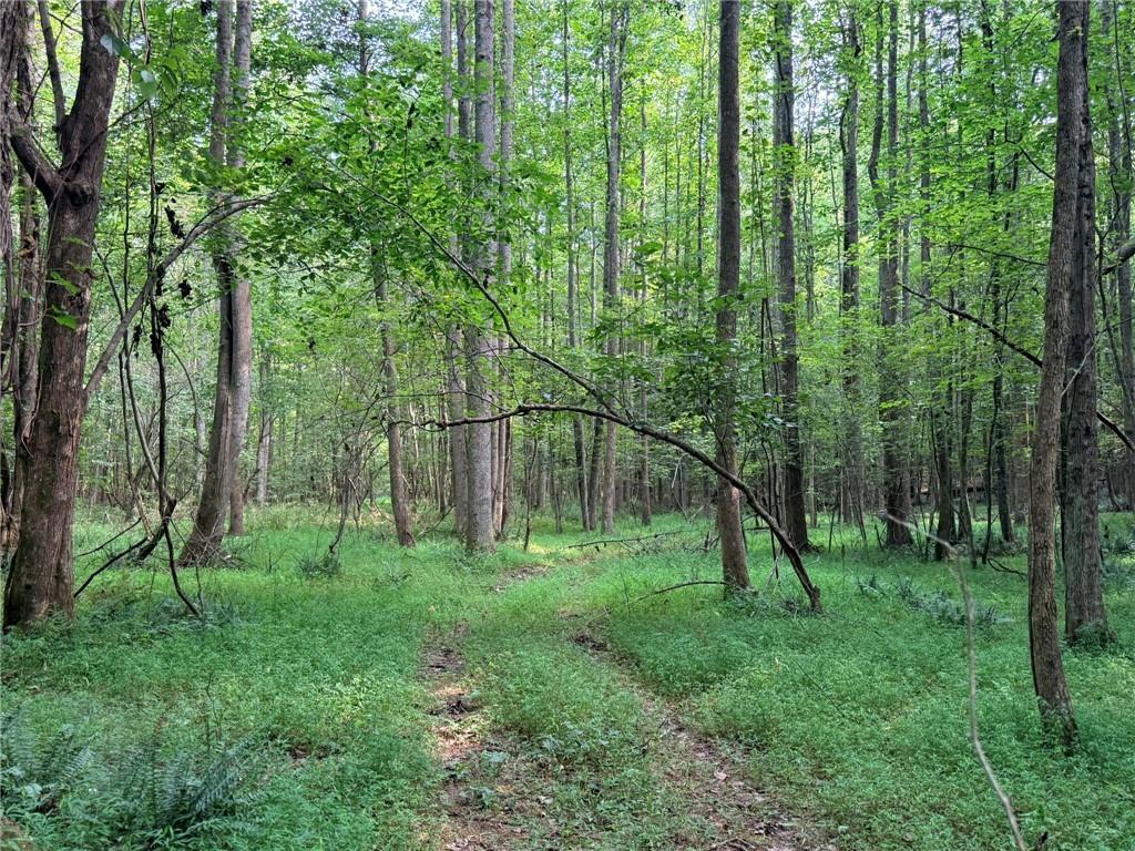 Lot 4 Pettit Road, Jasper, GA 30143