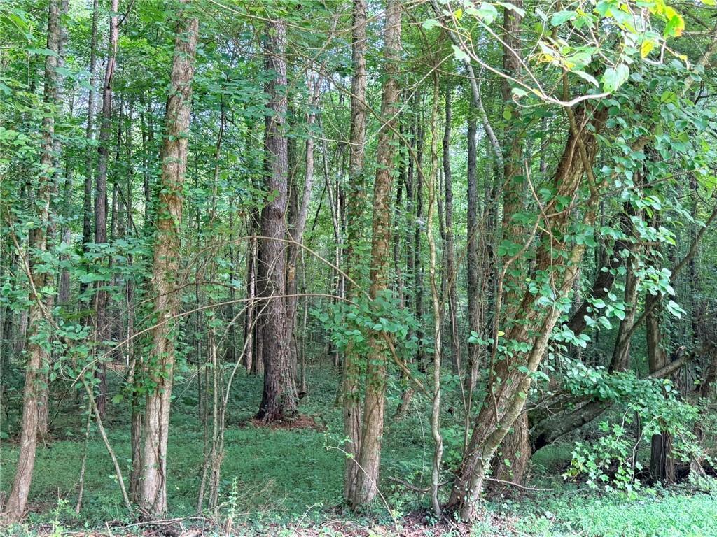 Lot 1 Pettit Road, Jasper, GA 30143