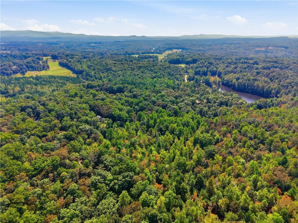 Fern Gully Way, Ellijay, GA 30540