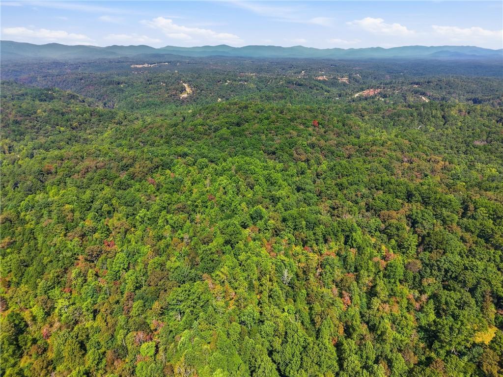 0 B-1 Fern Gully Way, Ellijay, GA 30540