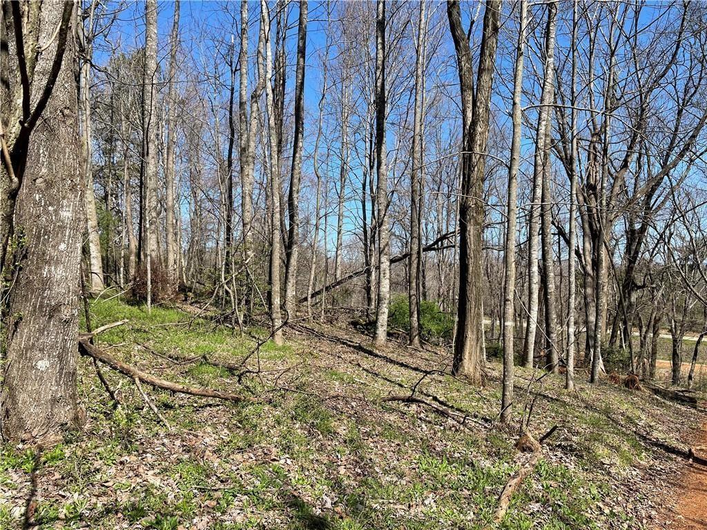 645 Nimblewill Church Rd., Dahlonega, GA 30533