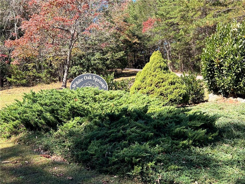 Lot 8 Travis Ridge, Blairsville, GA 30512