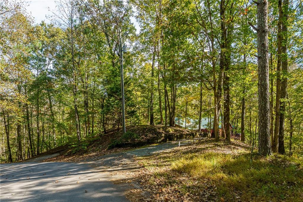 351 Nexus Dr., Ellijay, GA 30540