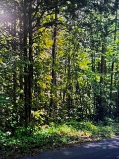 00 Etchison Spur, Loganville, GA 30052