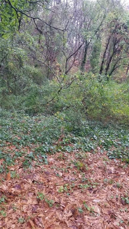 3387 Lake Valley Rd., Atlanta, GA 30331