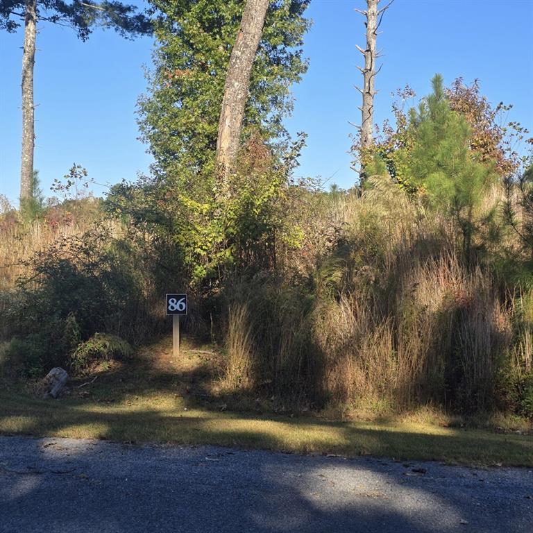Lot 86 River Overlook Ln., Ellijay, GA 30540