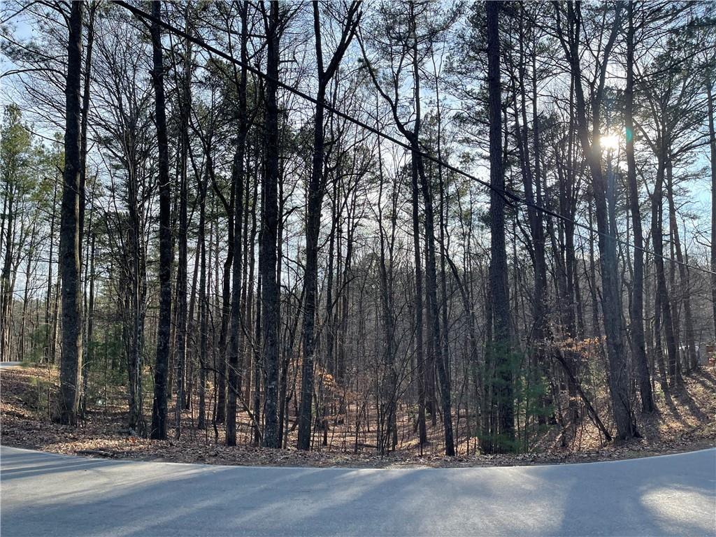 397EM Lemmon Dr., Ellijay, GA 30540