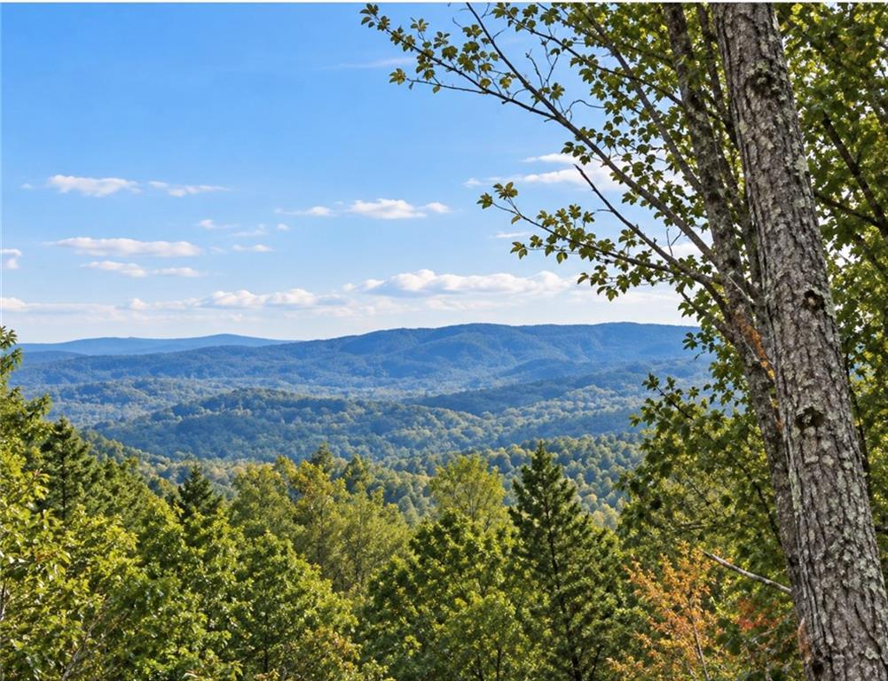 LOT103 Blalock Mountain Rd., Ellijay, GA 30540