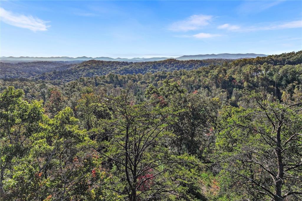 Haven Way, Blue Ridge, GA 30513