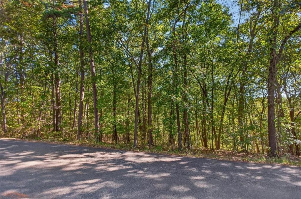 Hendrix Ln., Ball Ground, GA 30107
