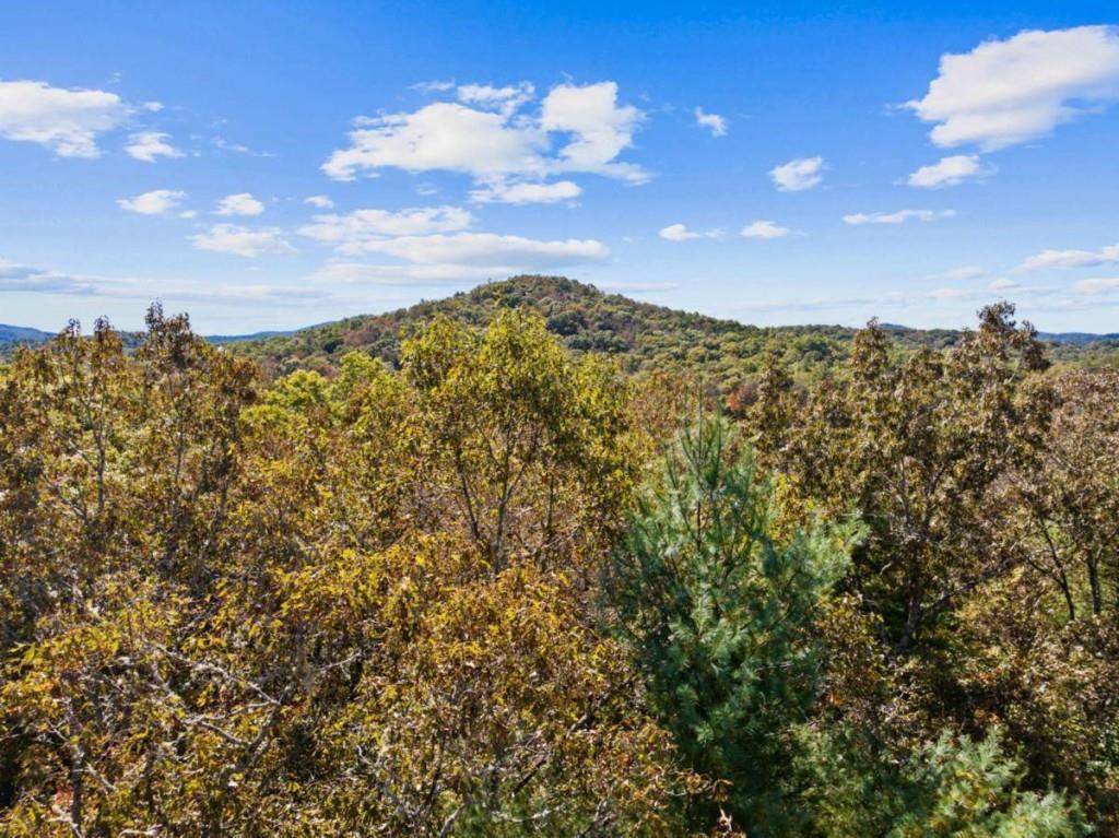 LT 12 Hillbilly Holler, Blue Ridge, GA 30513