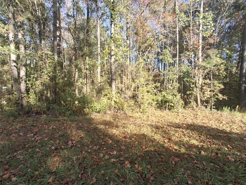 Old Hamilton Mills Rd., Bremen, GA 30110
