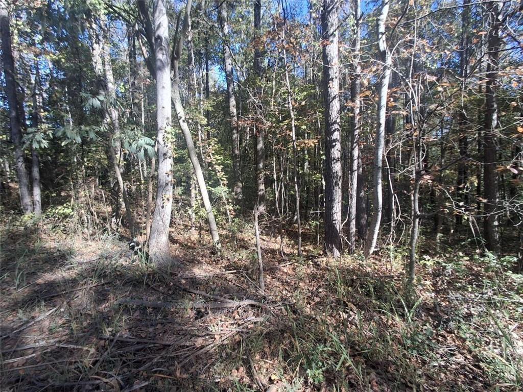 Old Hamilton Mills Rd., Bremen, GA 30110
