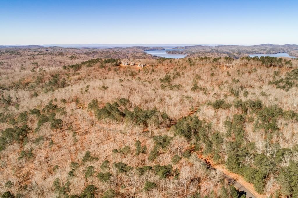 39 Harris Creek Dr., Ellijay, GA 30540