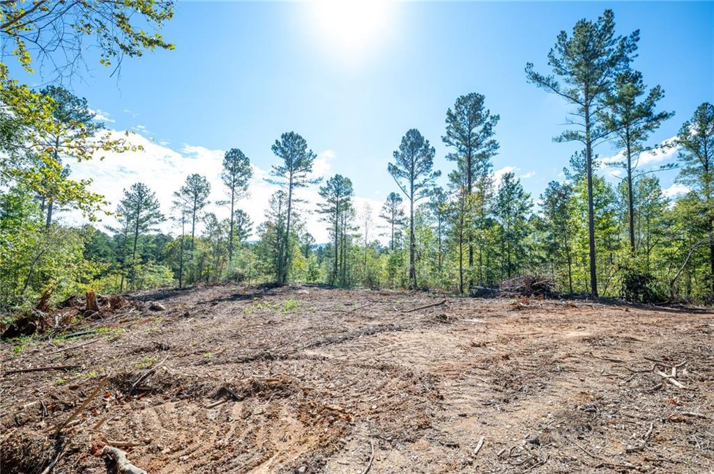 3797 Hwy 140, Rydal, GA 30171