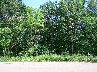 LOT 33 Autumnwood, Ottawa, IL 61350