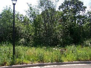 LOT 49 Autumnwood, Ottawa, IL 61350