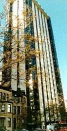1310 N Ritchie Court #12BC, Chicago, IL 60610